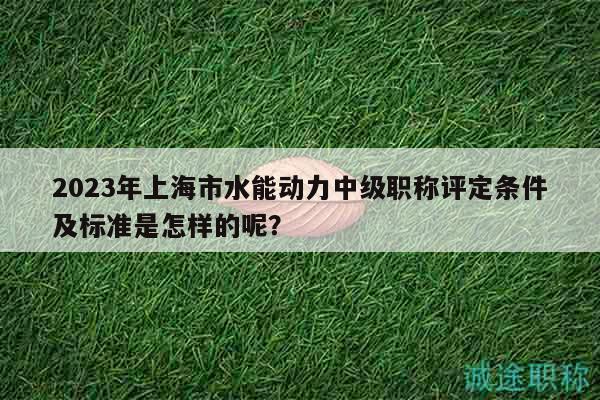 2023年上海市水能動(dòng)力中級(jí)職稱評(píng)定條件及標(biāo)準(zhǔn)是怎樣的呢？