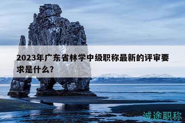 2023年廣東省林學(xué)中級職稱最新的評審要求是什么？