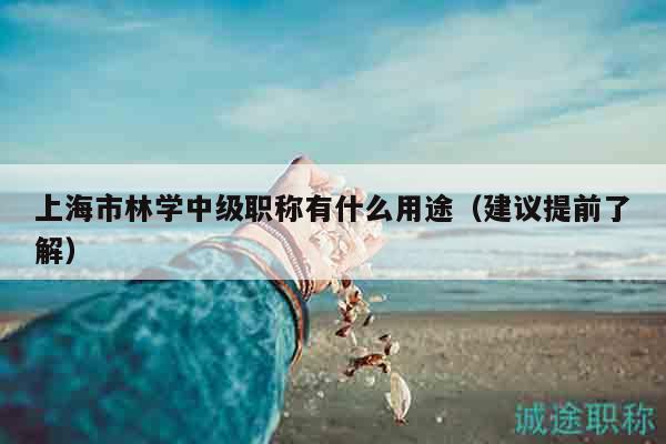 上海市林學中級職稱有什么用途（建議提前了解）