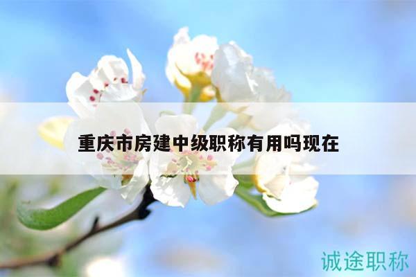重慶市房建中級職稱有用嗎現(xiàn)在