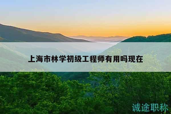 上海市林學(xué)初級工程師有用嗎現(xiàn)在