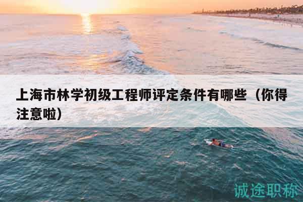 上海市林學(xué)初級工程師評定條件有哪些（你得注意啦）