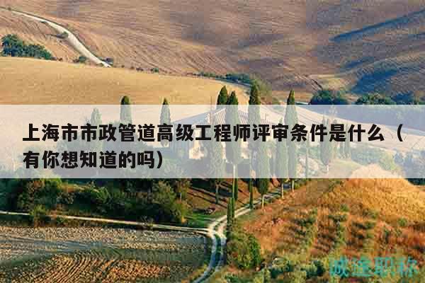 上海市市政管道高級工程師評審條件是什么（有你想知道的嗎）