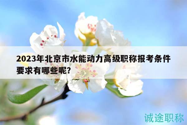 2023年北京市水能動力高級職稱報考條件要求有哪些呢？