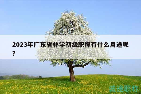 2023年廣東省林學(xué)初級(jí)職稱有什么用途呢？