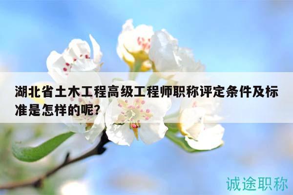 湖北省土木工程高級工程師職稱評定條件及標準是怎樣的呢？