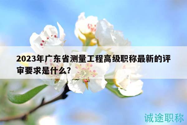 2023年廣東省測量工程高級職稱最新的評審要求是什么？