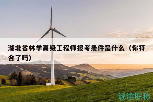 湖北省林學高級工程師報考條件是什么（你符合了嗎）