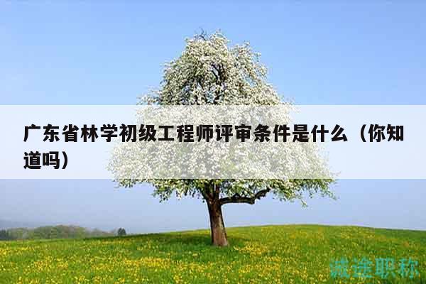 廣東省林學(xué)初級(jí)工程師評(píng)審條件是什么（你知道嗎）