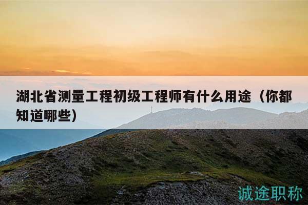湖北省測(cè)量工程初級(jí)工程師有什么用途（你都知道哪些）