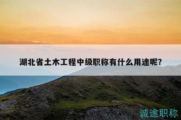 湖北省土木工程中級職稱有什么用途呢？