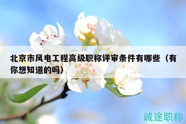 北京市風(fēng)電工程高級職稱評審條件有哪些（有你想知道的嗎）