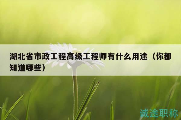 湖北省市政工程高級工程師有什么用途（你都知道哪些）
