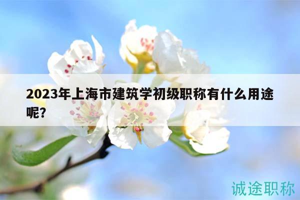 2023年上海市建筑學(xué)初級(jí)職稱有什么用途呢？