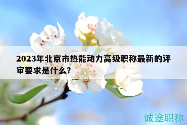 2023年北京市熱能動力高級職稱最新的評審要求是什么？