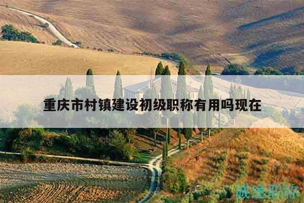 重慶市村鎮(zhèn)建設(shè)初級職稱有用嗎現(xiàn)在