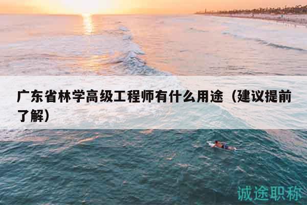 廣東省林學(xué)高級(jí)工程師有什么用途（建議提前了解）