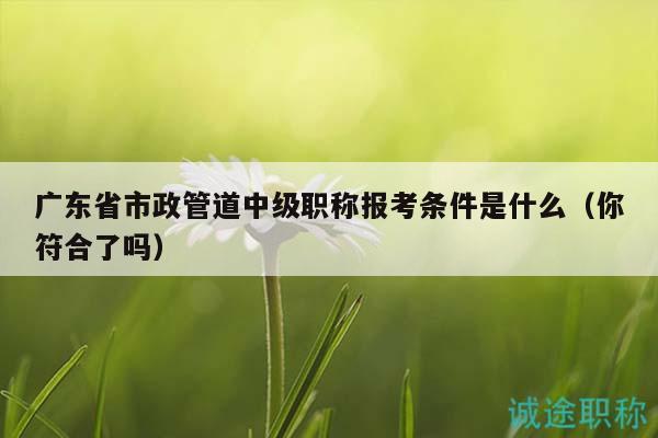 廣東省市政管道中級職稱報考條件是什么（你符合了嗎）