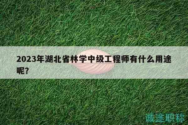 2023年湖北省林學(xué)中級(jí)工程師有什么用途呢？
