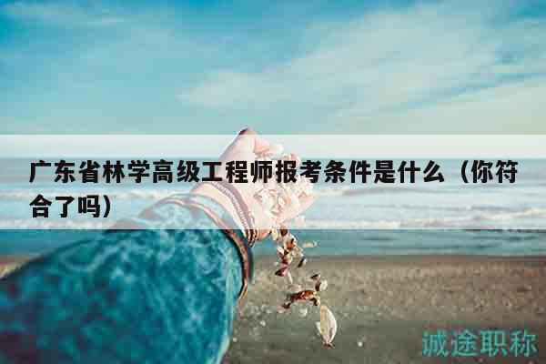 廣東省林學(xué)高級(jí)工程師報(bào)考條件是什么（你符合了嗎）