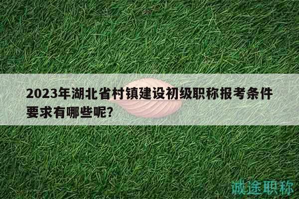 2023年湖北省村鎮(zhèn)建設(shè)初級(jí)職稱(chēng)報(bào)考條件要求有哪些呢？