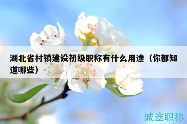 湖北省村鎮(zhèn)建設(shè)初級職稱有什么用途（你都知道哪些）