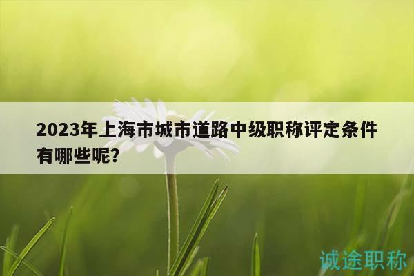 2023年上海市城市道路中級職稱評定條件有哪些呢？