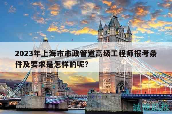 2023年上海市市政管道高級工程師報考條件及要求是怎樣的呢？
