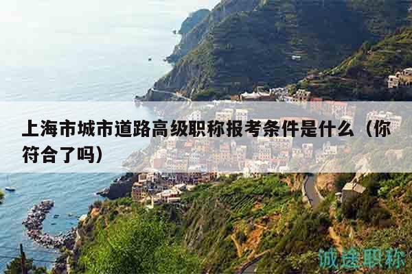 上海市城市道路高級職稱報考條件是什么（你符合了嗎）