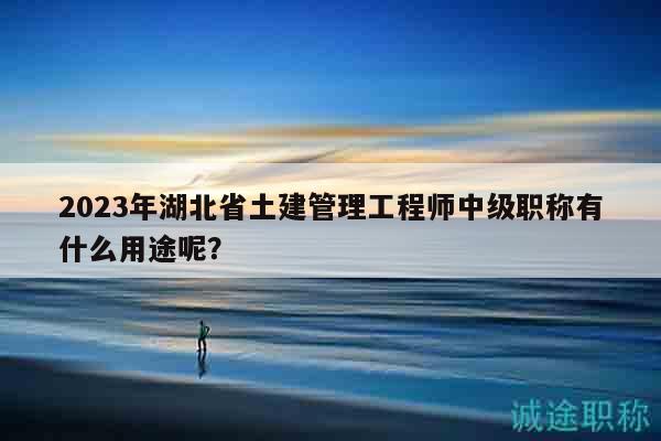 2023年湖北省土建管理工程師中級職稱有什么用途呢？