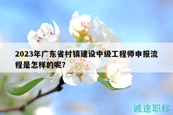 2023年廣東省村鎮(zhèn)建設(shè)中級(jí)工程師申報(bào)流程是怎樣的呢？