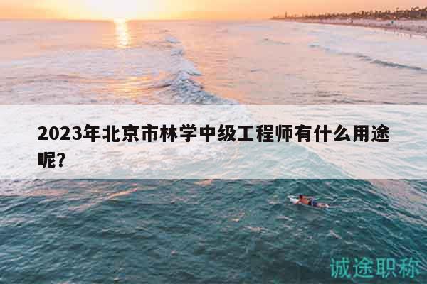 2023年北京市林學(xué)中級(jí)工程師有什么用途呢？