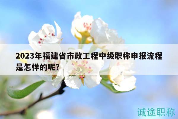 2023年福建省市政工程中級職稱申報流程是怎樣的呢？