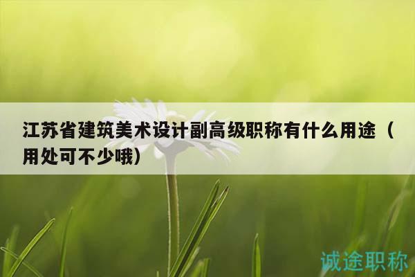江蘇省建筑美術(shù)設(shè)計副高級職稱有什么用途（用處可不少哦）