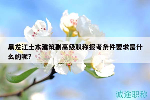 黑龍江土木建筑副高級職稱報考條件要求是什么的呢？
