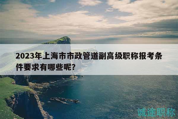 2023年上海市市政管道副高級(jí)職稱報(bào)考條件要求有哪些呢？
