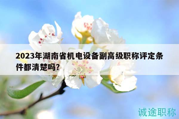 2023年湖南省機(jī)電設(shè)備副高級(jí)職稱(chēng)評(píng)定條件都清楚嗎？
