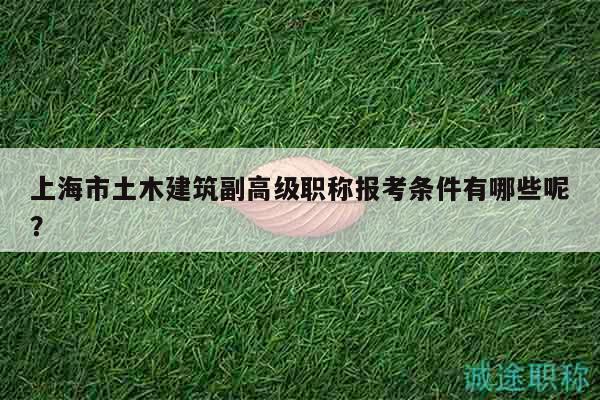 上海市土木建筑副高級(jí)職稱報(bào)考條件有哪些呢？