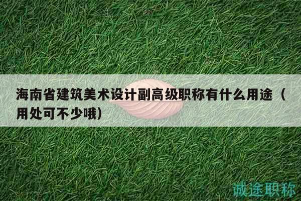 海南省建筑美術(shù)設(shè)計(jì)副高級(jí)職稱有什么用途（用處可不少哦）