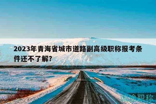 2023年青海省城市道路副高級職稱報考條件還不了解？