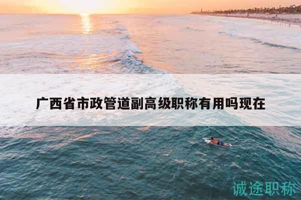 廣西省市政管道副高級(jí)職稱有用嗎現(xiàn)在