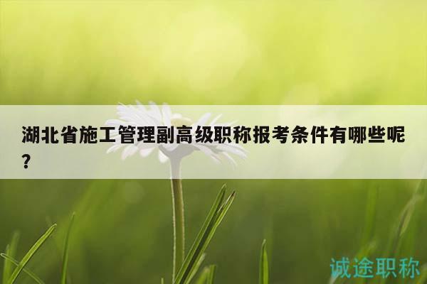 湖北省施工管理副高級(jí)職稱報(bào)考條件有哪些呢？