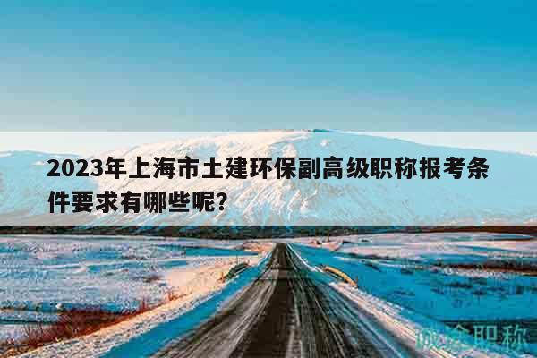 2023年上海市土建環(huán)保副高級(jí)職稱(chēng)報(bào)考條件要求有哪些呢？