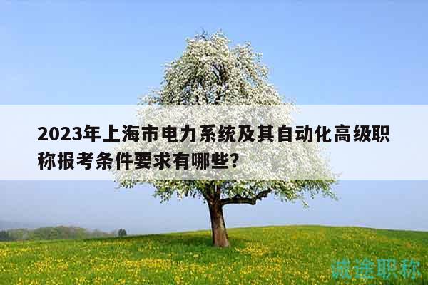 2023年上海市電力系統(tǒng)及其自動(dòng)化高級職稱報(bào)考條件要求有哪些？