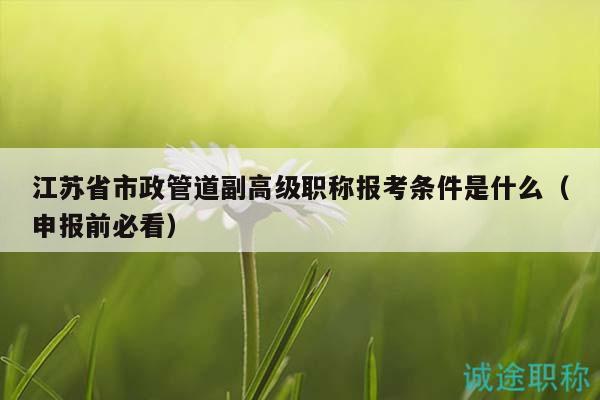 江蘇省市政管道副高級(jí)職稱報(bào)考條件是什么（申報(bào)前必看）
