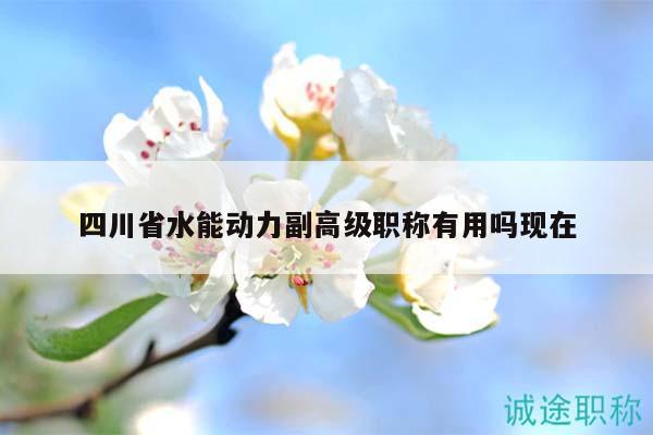 四川省水能動(dòng)力副高級(jí)職稱有用嗎現(xiàn)在