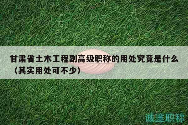 甘肅省土木工程副高級(jí)職稱的用處究竟是什么（其實(shí)用處可不少）