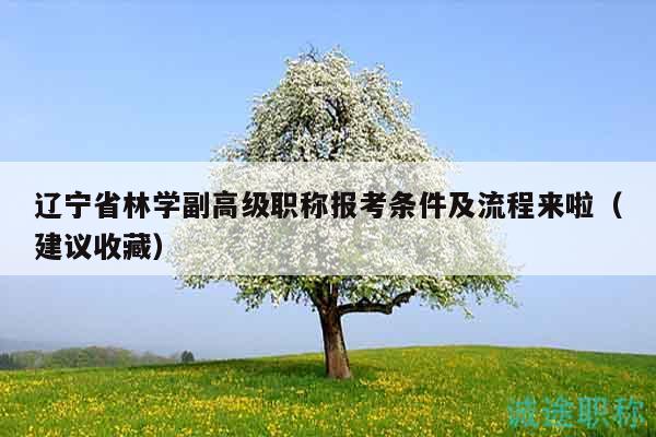遼寧省林學(xué)副高級職稱報(bào)考條件及流程來啦（建議收藏）