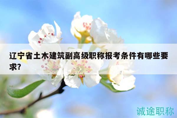 遼寧省土木建筑副高級(jí)職稱報(bào)考條件有哪些要求？