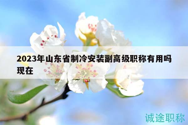 2023年山東省制冷安裝副高級(jí)職稱有用嗎現(xiàn)在